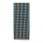 Brown and Blue Medium Check