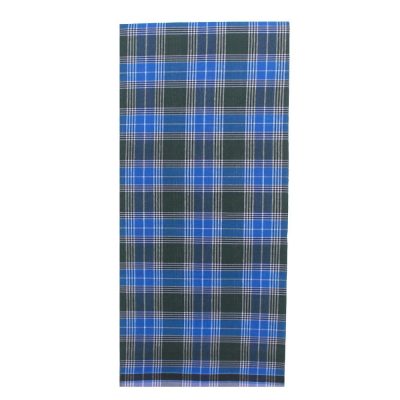 Parrot Green and Blue Mini Check no 10 1
