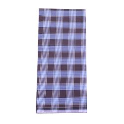 Brown and Blue Medium Check
