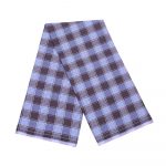 Brown and Blue Medium Check