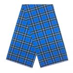 Blue and Green Medium Check Lungi 3