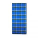 Blue and Parrot Green Medium Check