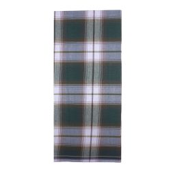 Parrot Green Madras check