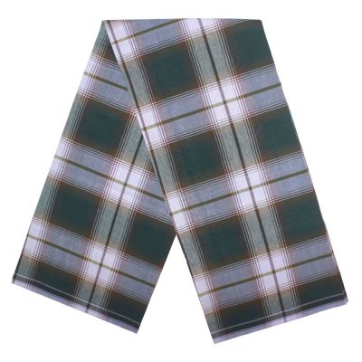 Parrot Green Madras check Vshaped