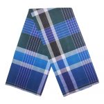 Blue and Green Fancy Lungi